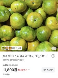 제주 서귀포 노지 감귤 5kg