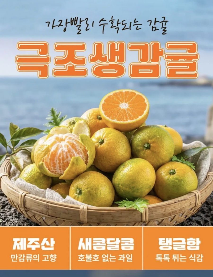 제주 서귀포 노지 감귤 5kg