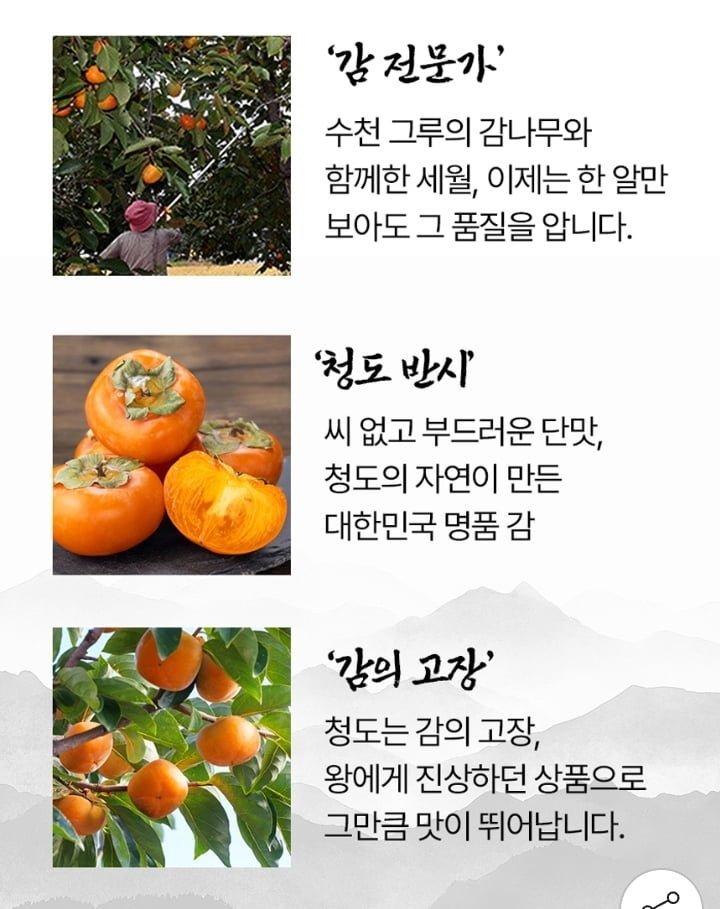 국내산 씨없는 청도반시 2.5kg