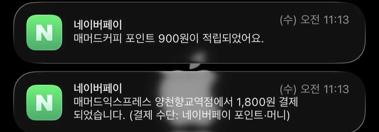 매머드커피 네이버페이 50% 적립