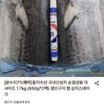 국내산삼치 손질냉동 대사이즈 1.7kg (850g*2팩)