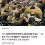 풍천 자포니카 민물장어 1kg (손질후 700g내외)