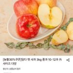 햇 사과 홍로 3kg 중과