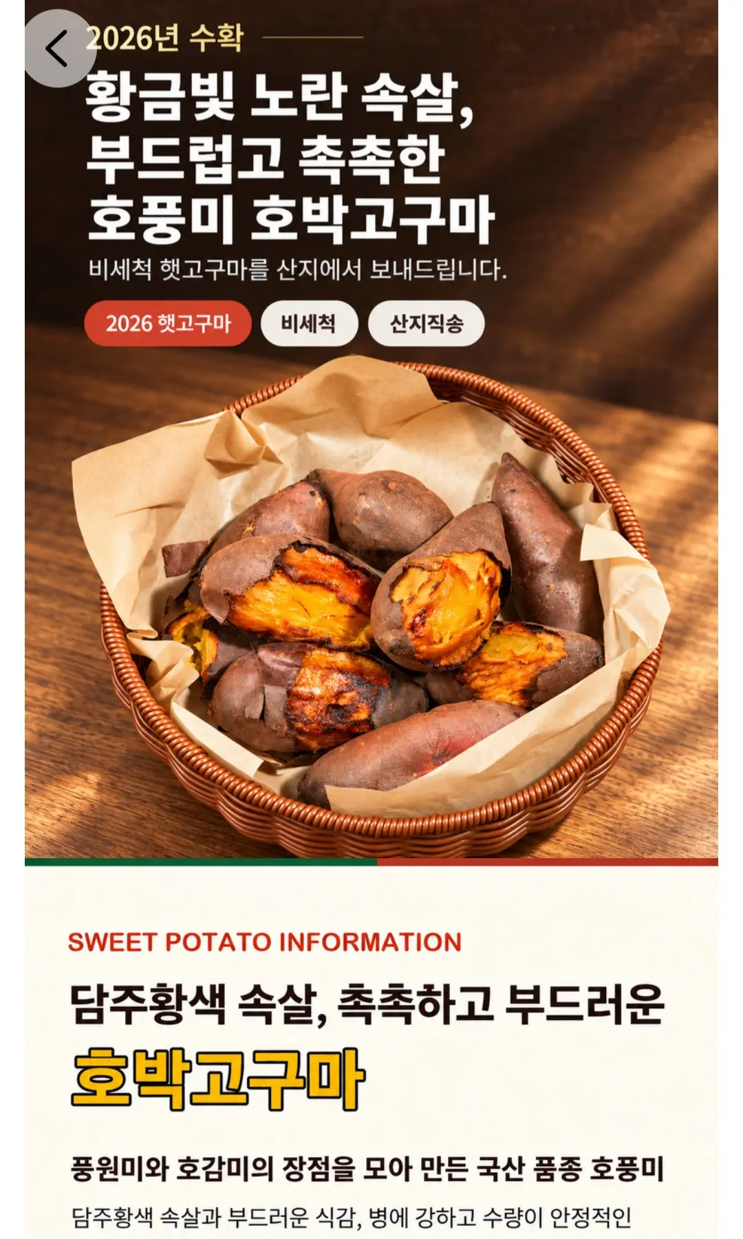 26 햇 해남 호박고구마 중상 3kg 1박스