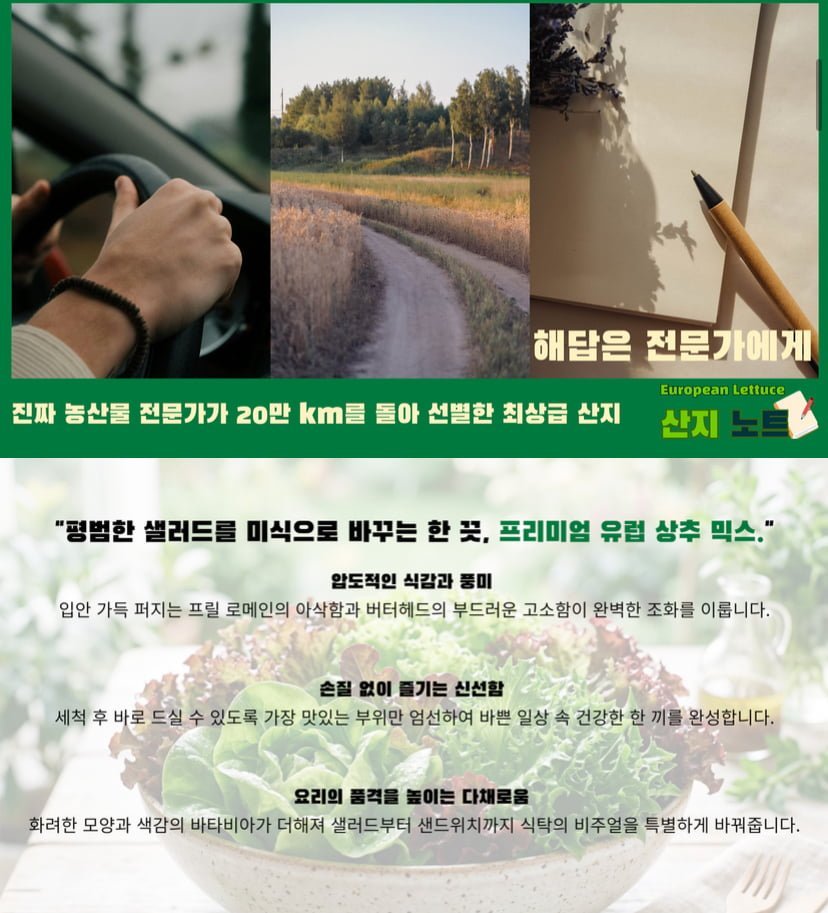 국내산 유러피안 상추 믹스 4종 1kg