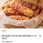 쫀득 냉동 홍찰옥수수 대 30개입