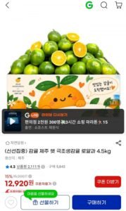 감귤 제주 햇 극조생감귤 로얄과 4.5kg