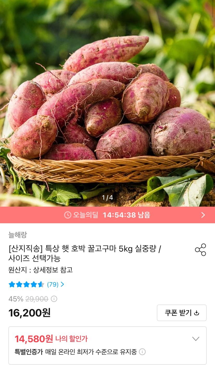 특상 햇 호박 꿀고구마 5kg