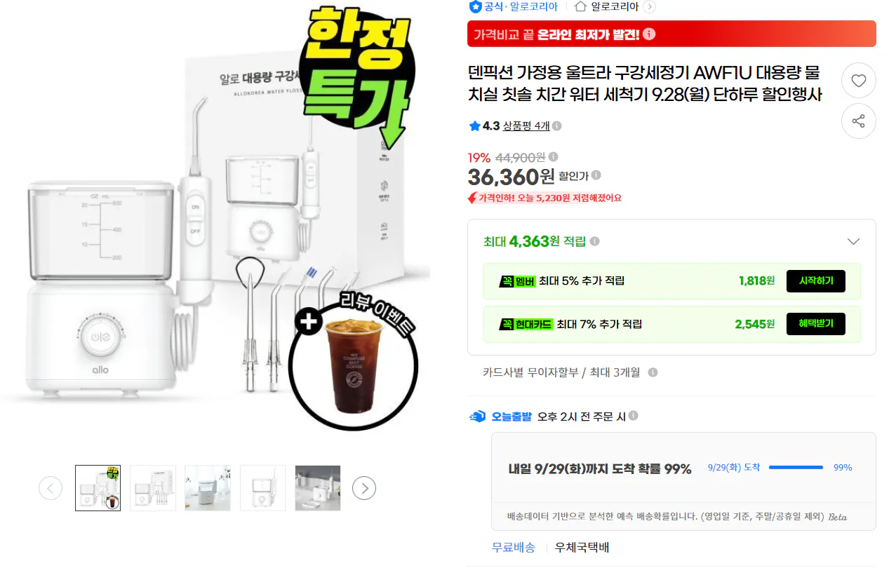 덴픽션 가정용 울트라 구강세정기 AWF1U 대용량 물치실 칫솔 치간 워터 세척기