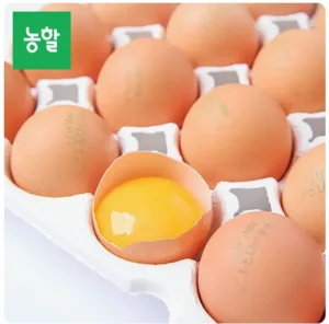 무항생제 HACCP인증 자연방사 난각번호 1번 유정란 20구