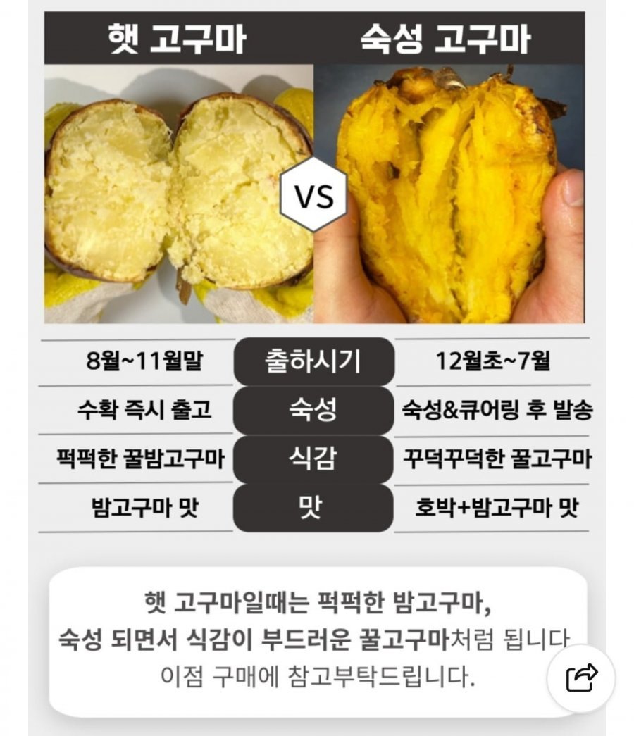 26년 영암 햇 호박고구마 중상/특상 1.5KG