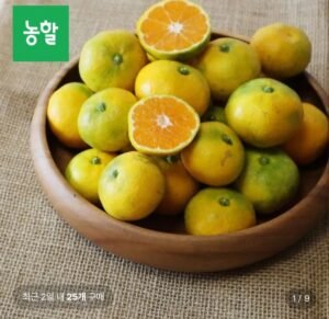 제주극조생 감귤 4.5kg 대과 사이즈다양