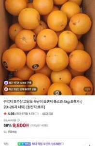 호주산 고당도 못난이 오렌지 중소과 4kg(20~26개)