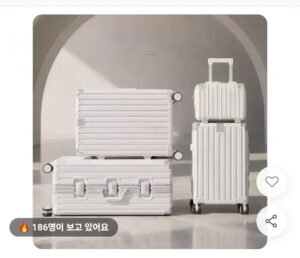 폴리카보네이트 TSA 캐리어 20인치