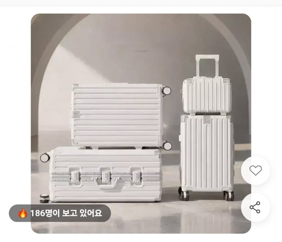 폴리카보네이트 TSA 캐리어 20인치