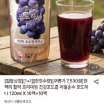 포도즙 리얼순수 포도하나 120ml X 10팩+10팩