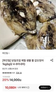국내산 생물 활 갑오징어 1kg 4-6미