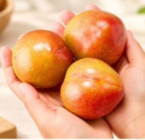 영천 노지 자두 2kg