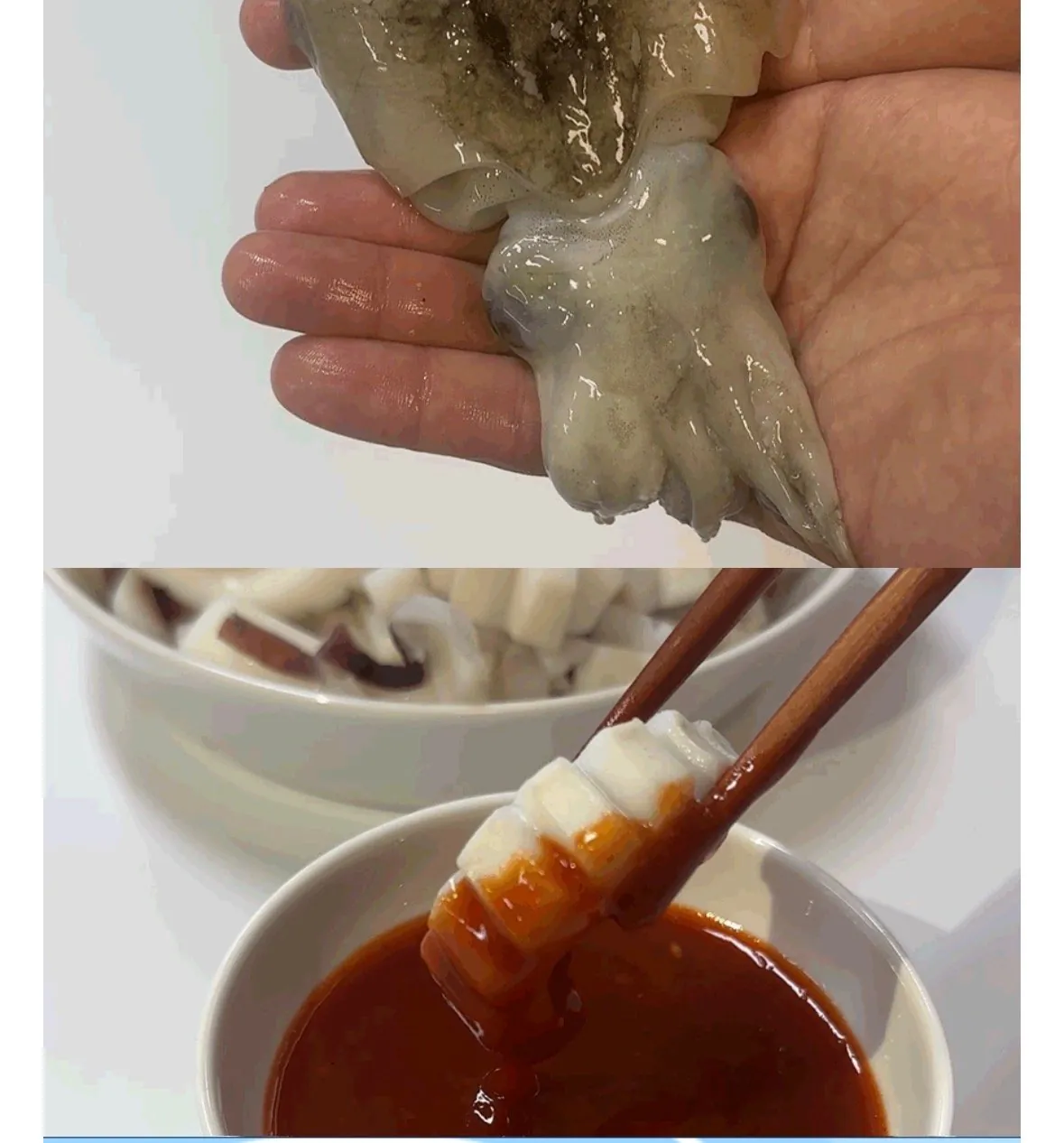당일조업 제철 생물 갑오징어 1kg 4-6미