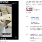 덴코큐 고양이 간식 덴탈 양치껌 닭고기+연어, 8g, 40개