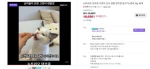 덴코큐 고양이 간식 덴탈 양치껌 닭고기+연어, 8g, 40개