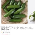 국내산 미니오이 2kg
