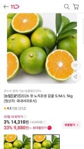 제주 제철 노지조생 감귤 중과 5kg