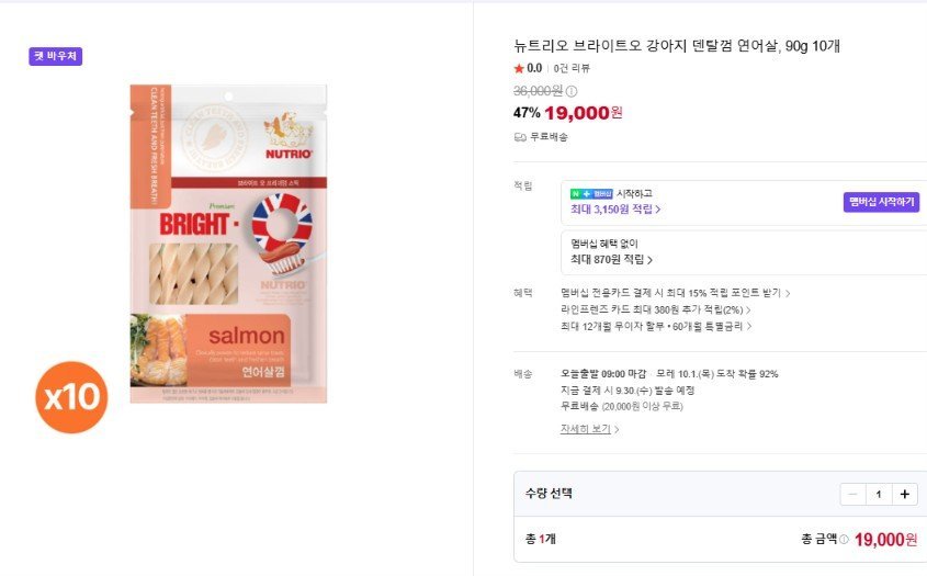 브라이트오 강아지 덴탈껌 연어살, 90g 10개