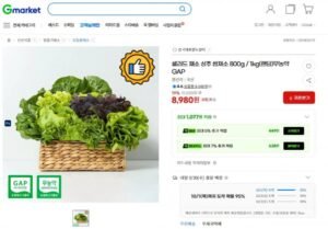 샐러드 채소 800g 무농약