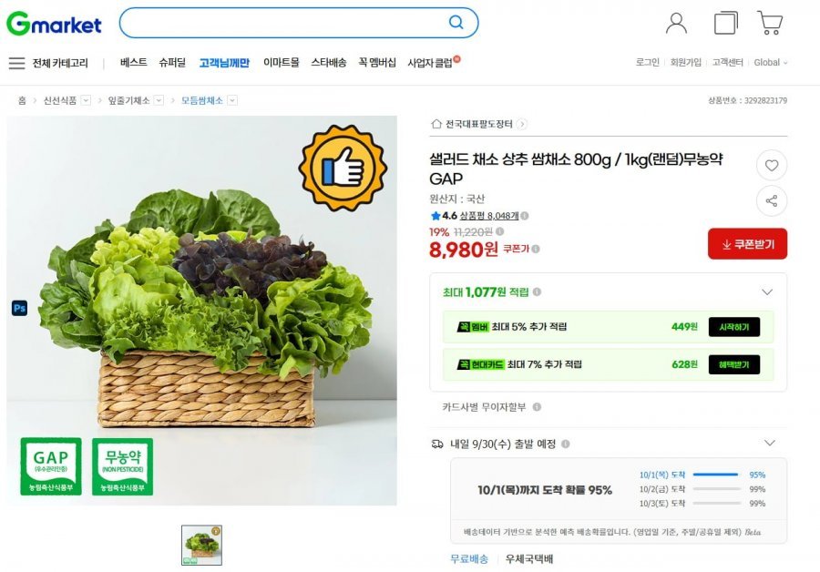 샐러드 채소 800g 무농약