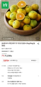제주 햇 극조생감귤 4.5kg 대과
