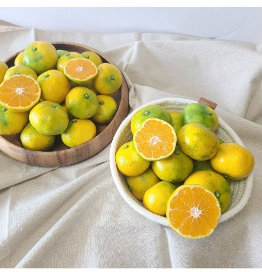 제주 햇 극조생 감귤 4.5kg/9kg(실중량)