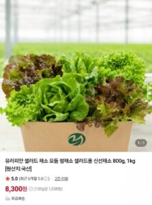 유러피안 샐러드 모듬 쌈채소 1kg