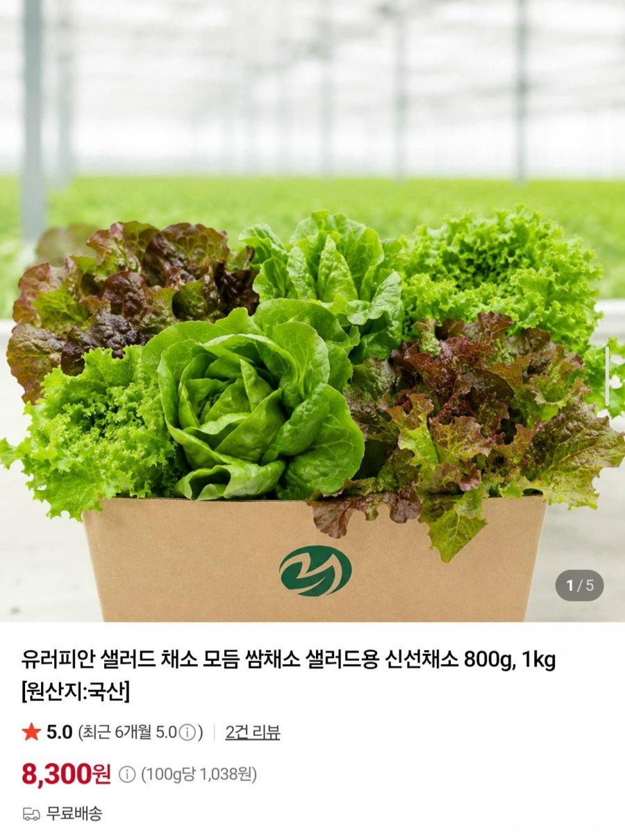 유러피안 샐러드 모듬 쌈채소 1kg