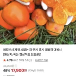 청도반시 제철 씨없는 감