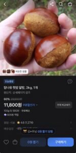 26년 수확 햇밤 2kg