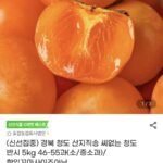 청도반시 5kg 46-55과