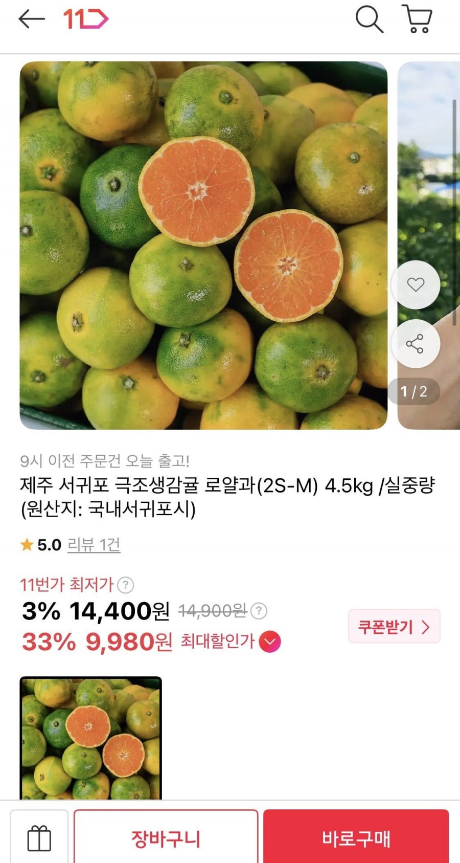 제주 서귀포 극조생감귤 로얄과 4.5kg