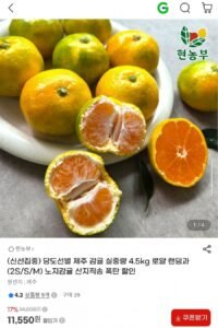 제주 감귤 가정용 실중량 4.5kg 랜덤과