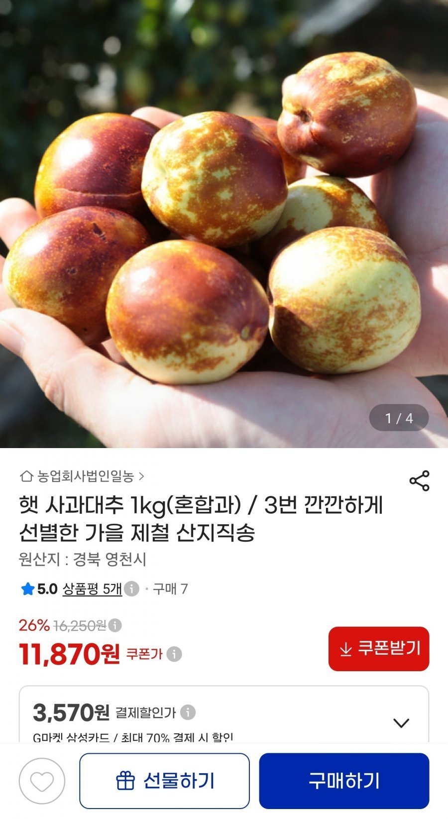 햇 사과대추 1kg (혼합과)