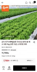 샐러드용 채소 모듬 1kg (3종 이상) 스마트팜 재배