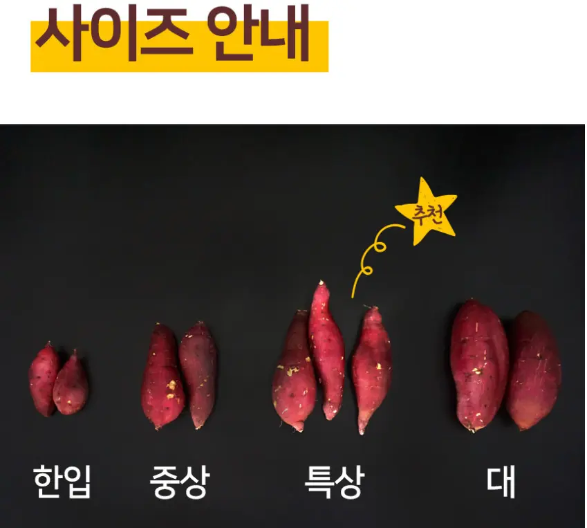 호박고구마 황토 햇 꿀 고구마 베니하루카 1.5Kg_네멤