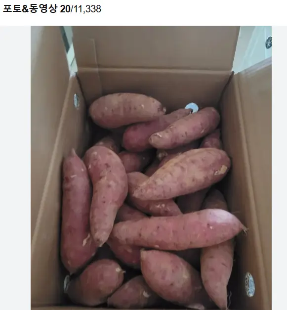 호박고구마 황토 햇 꿀 고구마 베니하루카 1.5Kg_네멤