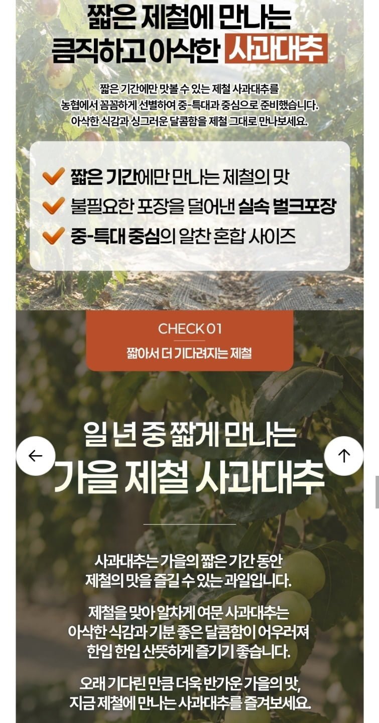 [농할30%쿠폰] 부여 햇 사과대추 생과 1kg 중특대 혼합과