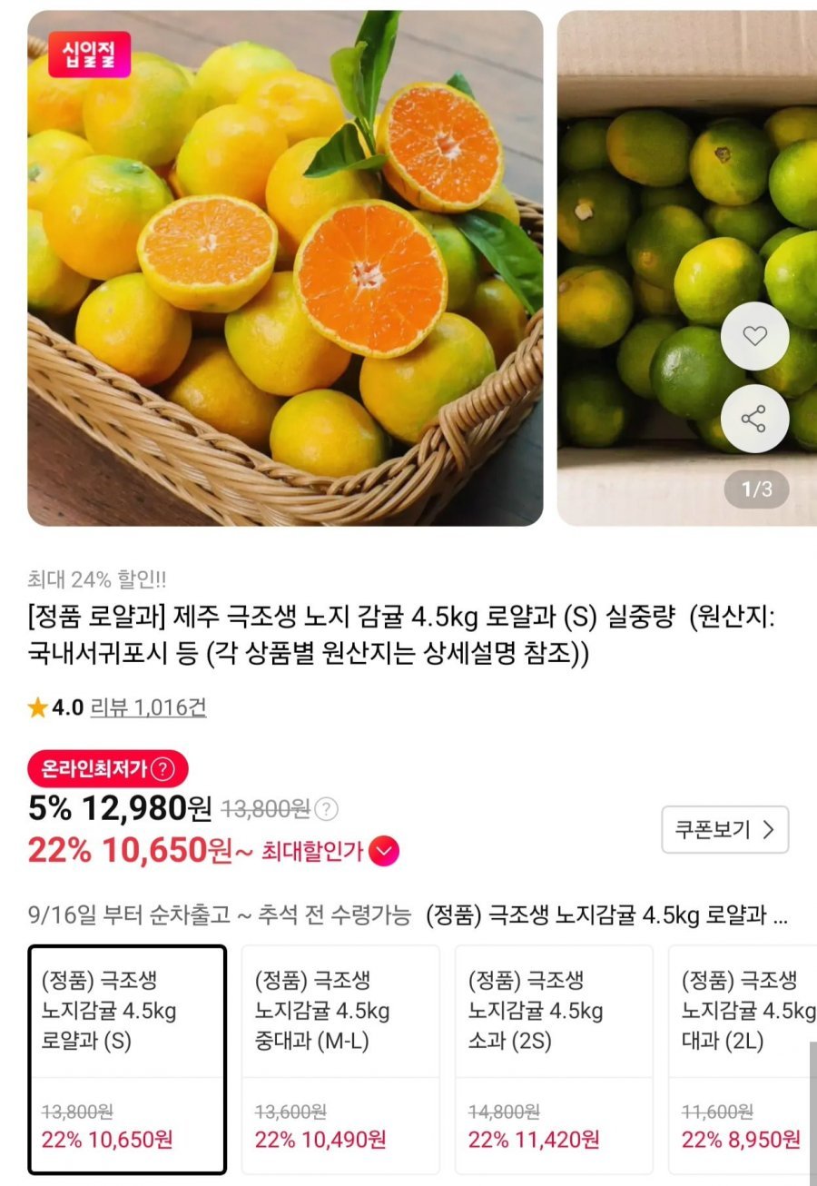 제주 극조생 노지 감귤 로얄과 4.5kg