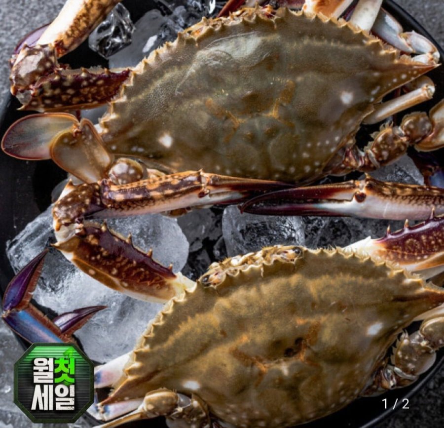 꽃게 수꽃게 2kg