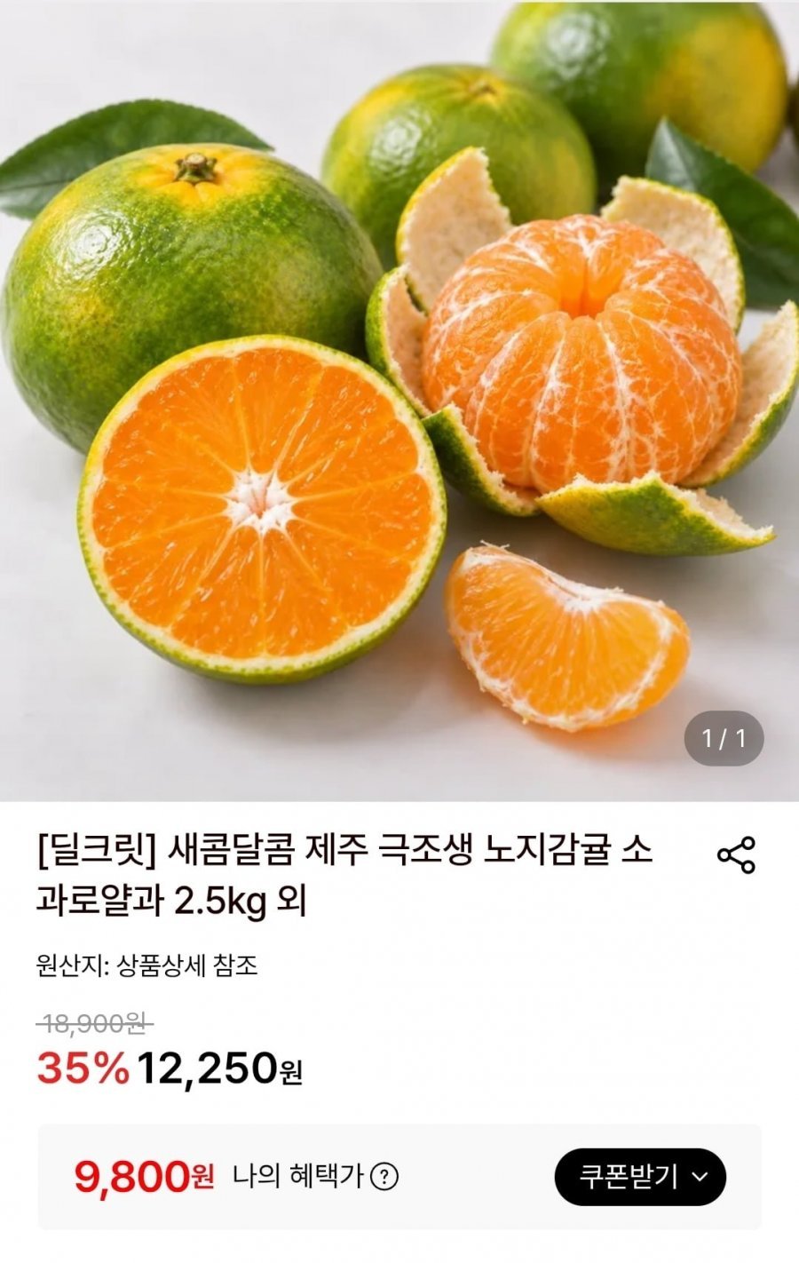 새콤달콤 제주 극조생 노지감귤 소과로얄과 2.5kg