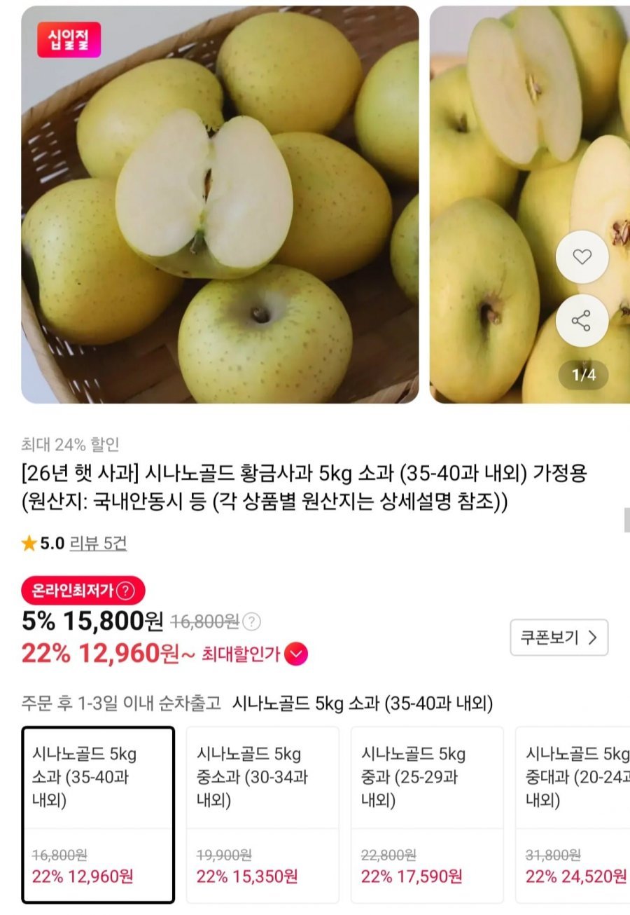시나노골드 황금사과 가정용 5kg 소과
