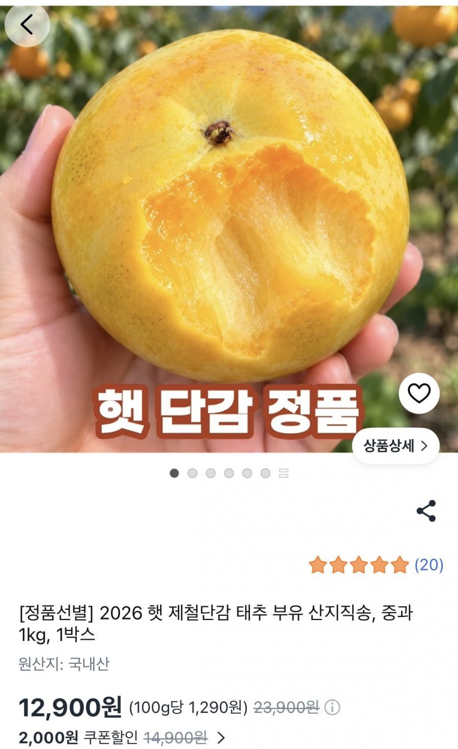 2026 햇 제철단감 태추 부유 산지직송