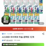 시스테마 치석케어 칫솔 콤팩트 12개